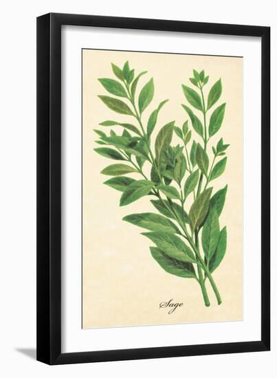 Sage-The Saturday Evening Post-Framed Giclee Print