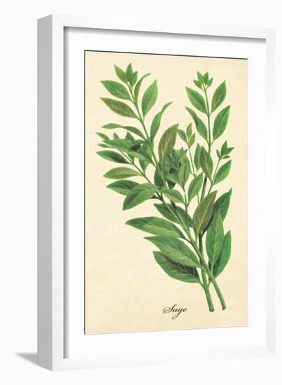 Sage-The Saturday Evening Post-Framed Giclee Print