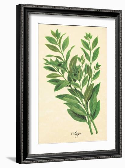 Sage-The Saturday Evening Post-Framed Giclee Print