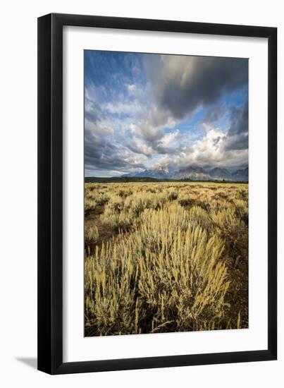 Sagebrush And Sky In Grand Teton National Park-Bryan Jolley-Framed Photographic Print