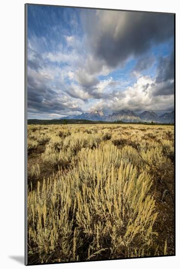 Sagebrush And Sky In Grand Teton National Park-Bryan Jolley-Mounted Photographic Print