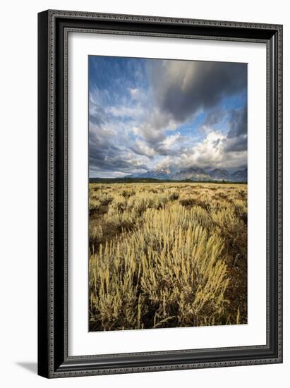 Sagebrush And Sky In Grand Teton National Park-Bryan Jolley-Framed Photographic Print