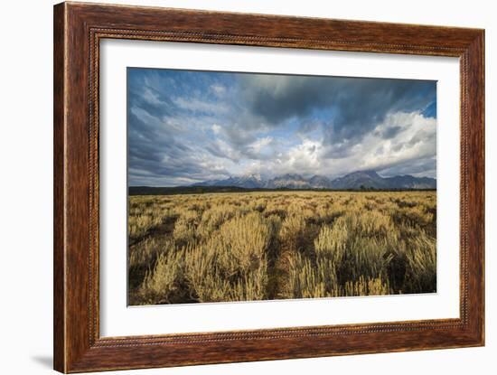 Sagebrush And Sky In Grand Teton National Park-Bryan Jolley-Framed Photographic Print