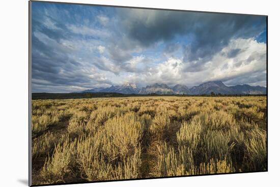 Sagebrush And Sky In Grand Teton National Park-Bryan Jolley-Mounted Photographic Print