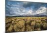 Sagebrush And Sky In Grand Teton National Park-Bryan Jolley-Mounted Photographic Print