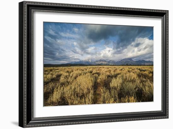 Sagebrush And Sky In Grand Teton National Park-Bryan Jolley-Framed Photographic Print