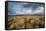 Sagebrush And Sky In Grand Teton National Park-Bryan Jolley-Framed Stretched Canvas