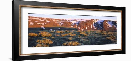 Sagebrush on Steens Mountain National Recreation Lands, Oregon, USA-Scott T. Smith-Framed Photographic Print