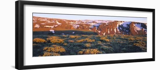 Sagebrush on Steens Mountain National Recreation Lands, Oregon, USA-Scott T. Smith-Framed Photographic Print