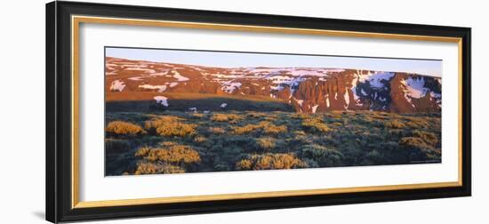 Sagebrush on Steens Mountain National Recreation Lands, Oregon, USA-Scott T. Smith-Framed Photographic Print