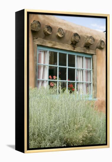 Sagebrush Outside an Adobe Building Window, Taos, New Mexico, USA-Julien McRoberts-Framed Premier Image Canvas