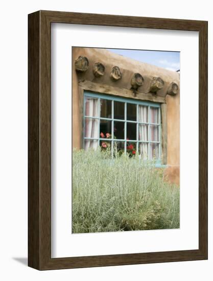 Sagebrush Outside an Adobe Building Window, Taos, New Mexico, USA-Julien McRoberts-Framed Photographic Print