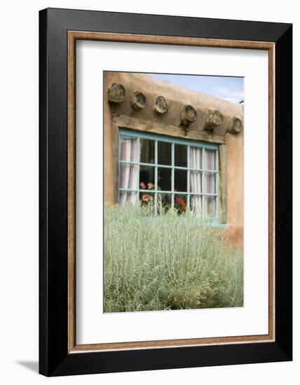 Sagebrush Outside an Adobe Building Window, Taos, New Mexico, USA-Julien McRoberts-Framed Photographic Print