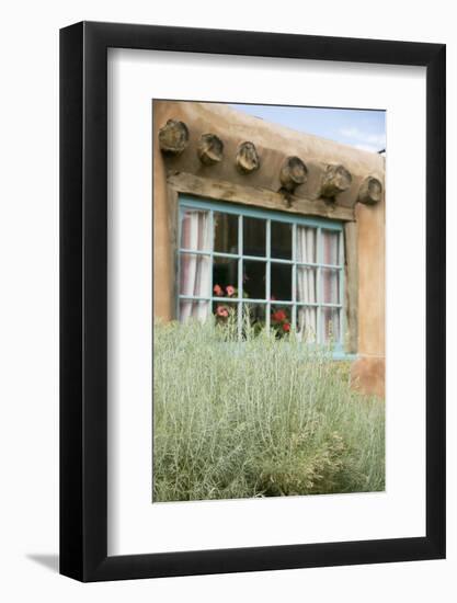 Sagebrush Outside an Adobe Building Window, Taos, New Mexico, USA-Julien McRoberts-Framed Photographic Print