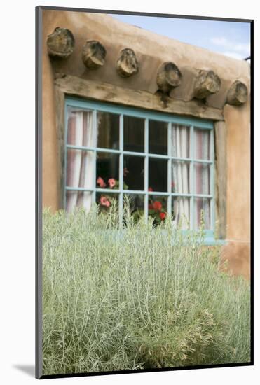 Sagebrush Outside an Adobe Building Window, Taos, New Mexico, USA-Julien McRoberts-Mounted Photographic Print
