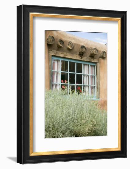 Sagebrush Outside an Adobe Building Window, Taos, New Mexico, USA-Julien McRoberts-Framed Photographic Print