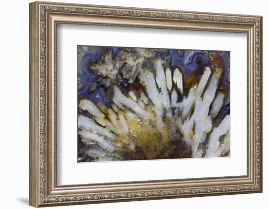 Sagenite Agate, Sammamish, Washington-Darrell Gulin-Framed Photographic Print