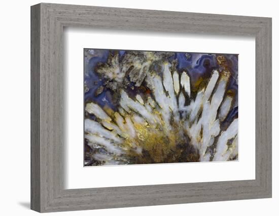 Sagenite Agate, Sammamish, Washington-Darrell Gulin-Framed Photographic Print