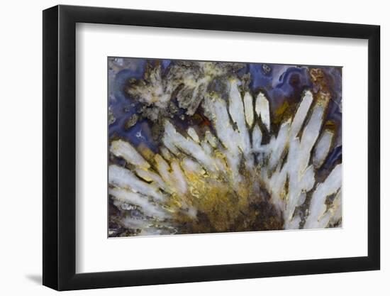 Sagenite Agate, Sammamish, Washington-Darrell Gulin-Framed Photographic Print