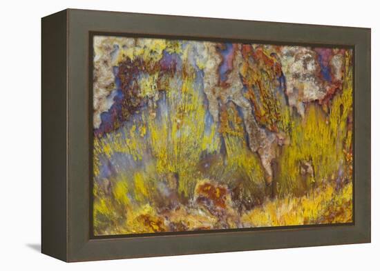 Sagenite on Mexican Agate-Darrell Gulin-Framed Premier Image Canvas