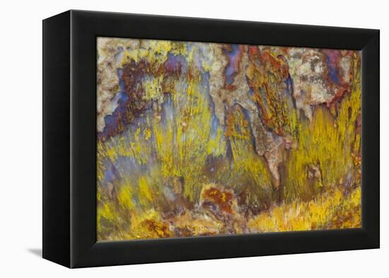 Sagenite on Mexican Agate-Darrell Gulin-Framed Premier Image Canvas