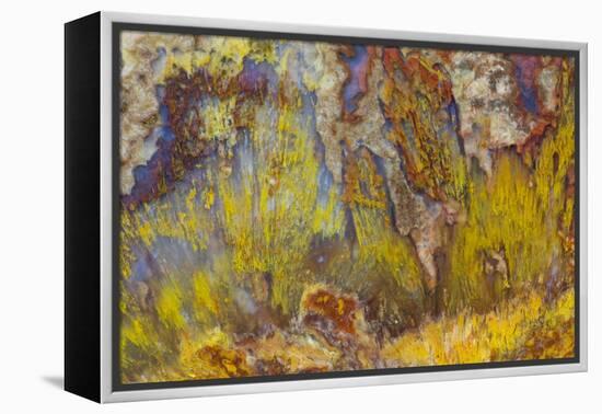 Sagenite on Mexican Agate-Darrell Gulin-Framed Premier Image Canvas