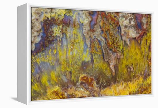 Sagenite on Mexican Agate-Darrell Gulin-Framed Premier Image Canvas