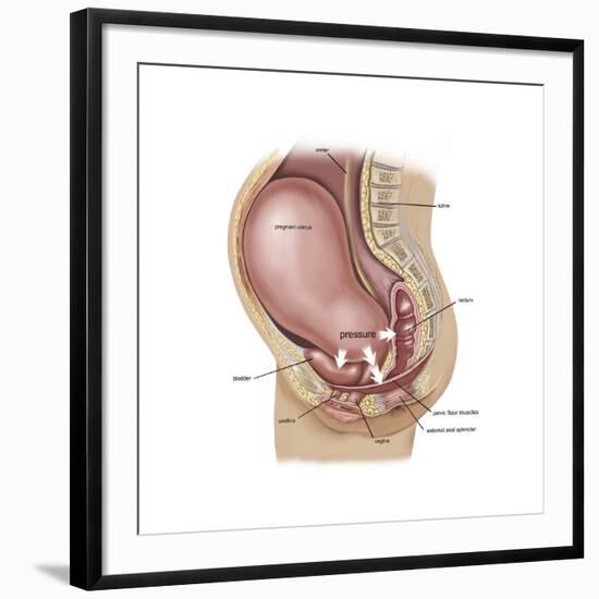 Art Print, , large
