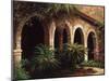 Sago Arches-Art Fronckowiak-Mounted Art Print