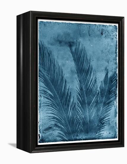 Sago Palm-John Kuss-Framed Premier Image Canvas