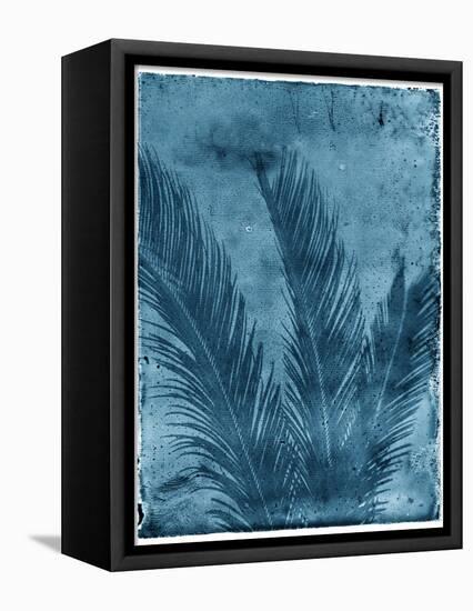 Sago Palm-John Kuss-Framed Premier Image Canvas