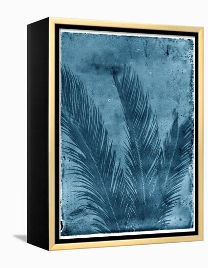 Sago Palm-John Kuss-Framed Premier Image Canvas