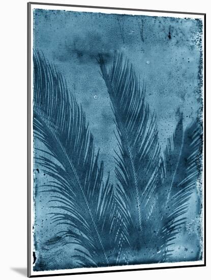 Sago Palm-John Kuss-Mounted Giclee Print