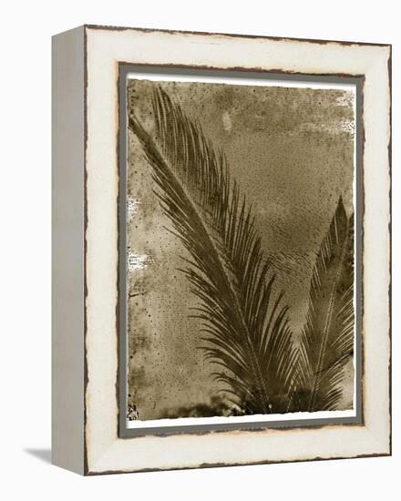 Sago Palm-John Kuss-Framed Premier Image Canvas