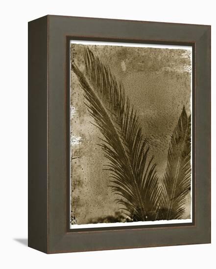 Sago Palm-John Kuss-Framed Premier Image Canvas