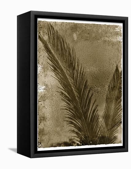 Sago Palm-John Kuss-Framed Premier Image Canvas