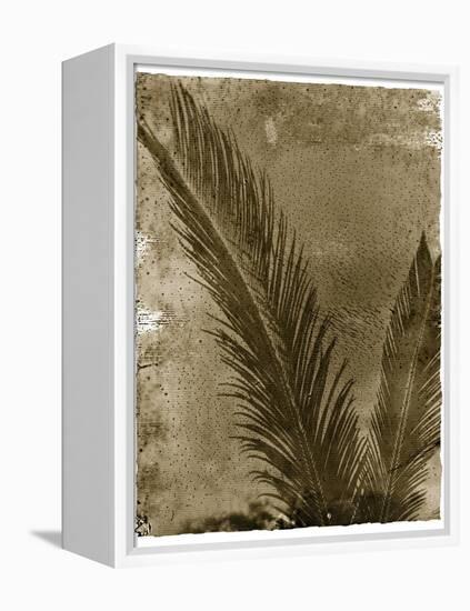 Sago Palm-John Kuss-Framed Premier Image Canvas
