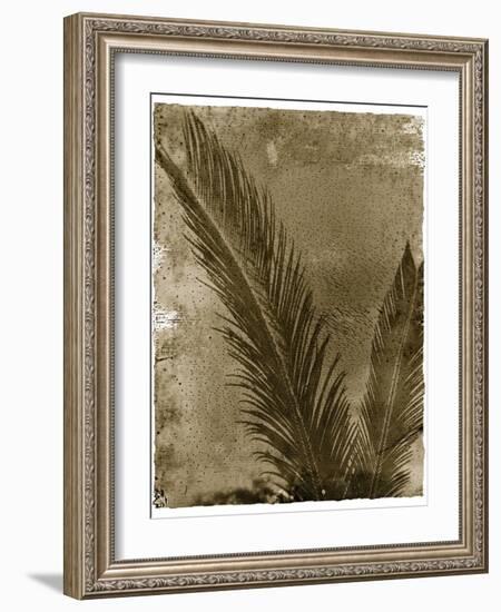 Sago Palm-John Kuss-Framed Giclee Print