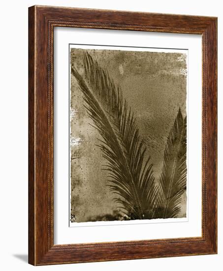 Sago Palm-John Kuss-Framed Giclee Print