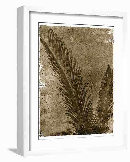 Sago Palm-John Kuss-Framed Giclee Print