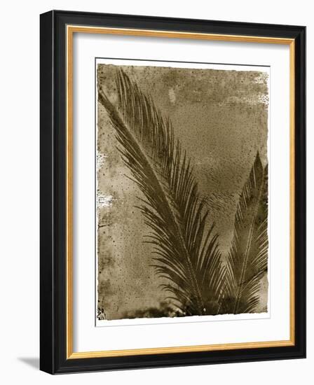 Sago Palm-John Kuss-Framed Giclee Print