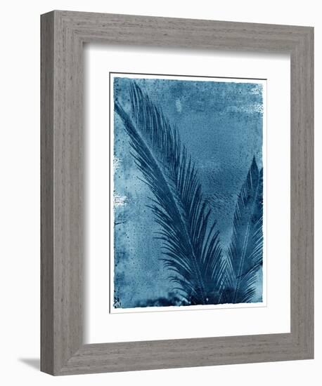 Sago Palm-John Kuss-Framed Photographic Print