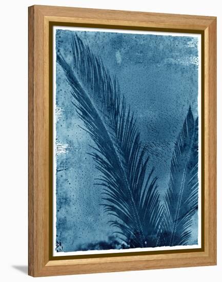 Sago Palm-John Kuss-Framed Premier Image Canvas