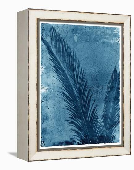 Sago Palm-John Kuss-Framed Premier Image Canvas