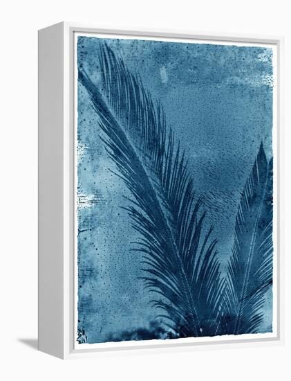 Sago Palm-John Kuss-Framed Premier Image Canvas