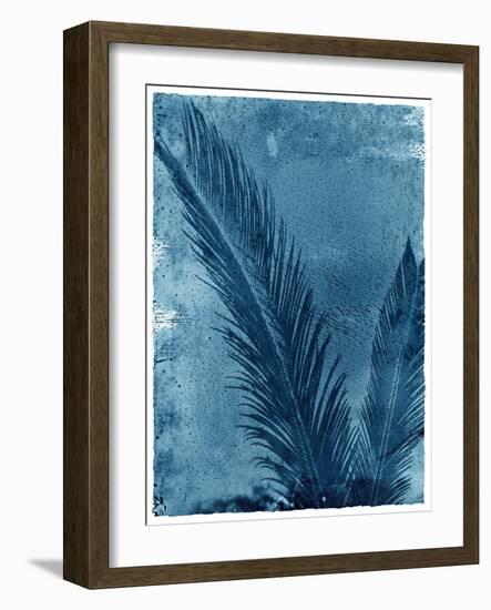 Sago Palm-John Kuss-Framed Photographic Print