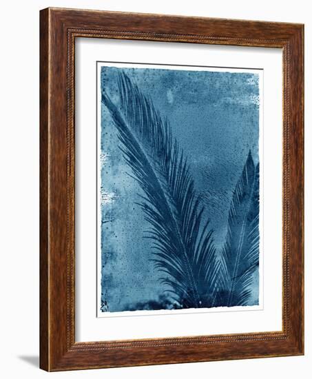 Sago Palm-John Kuss-Framed Photographic Print