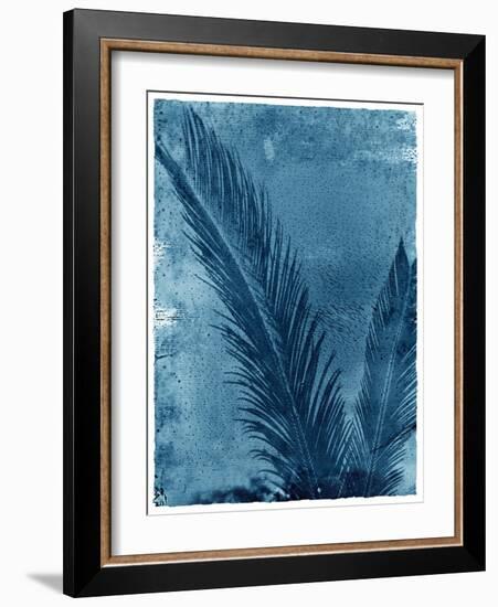 Sago Palm-John Kuss-Framed Photographic Print