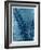 Sago Palm-John Kuss-Framed Photographic Print