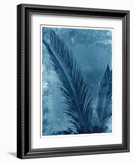 Sago Palm-John Kuss-Framed Photographic Print